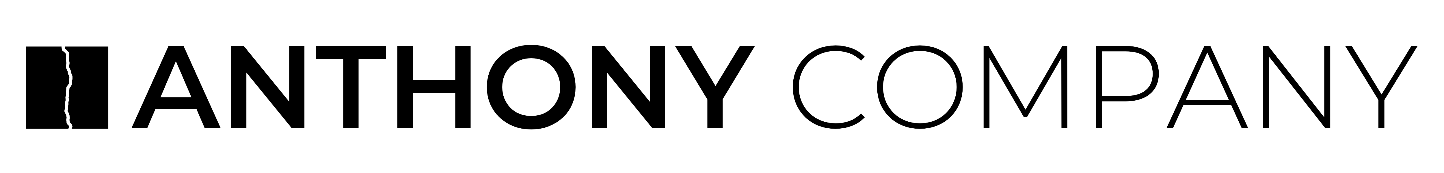 ANTHONY COMPANY